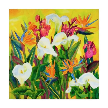 Carissa Luminess 'Beautiful Santa Barbara' Canvas Art,24x24